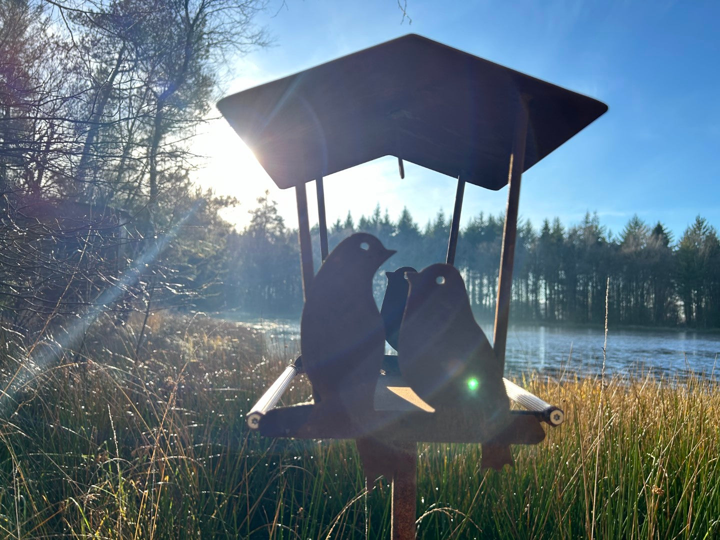 VOGEL PAAR Vogelhäuschen Vogelfutterhäuschen Vogelhaus Mega cool Handarbeit aussergewöhnlich