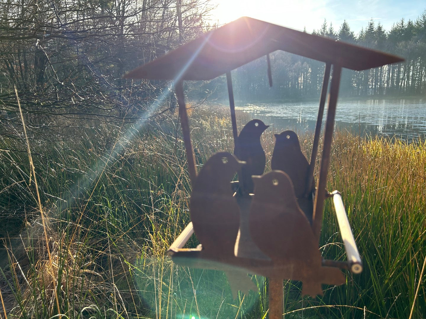 VOGEL PAAR Vogelhäuschen Vogelfutterhäuschen Vogelhaus Mega cool Handarbeit aussergewöhnlich